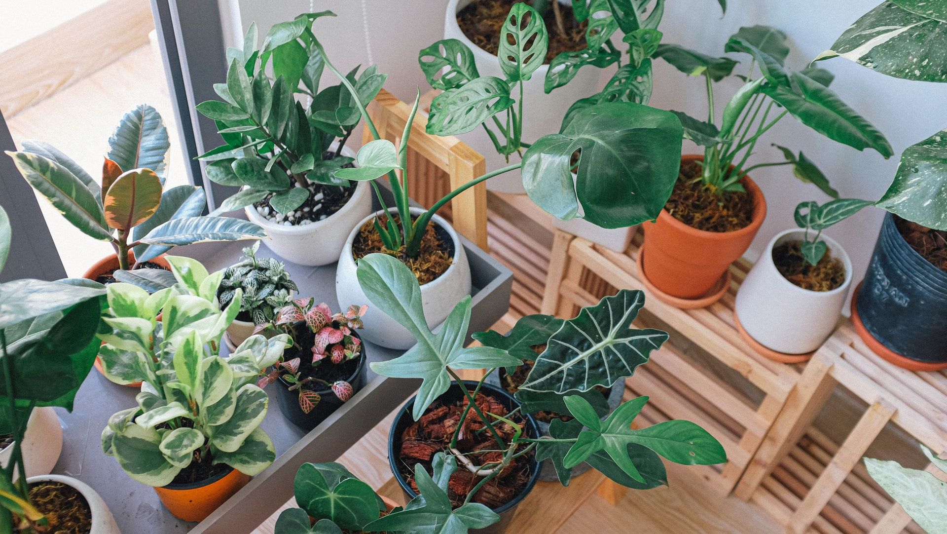 Indoor Planters