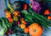 Fall vegetable gardening