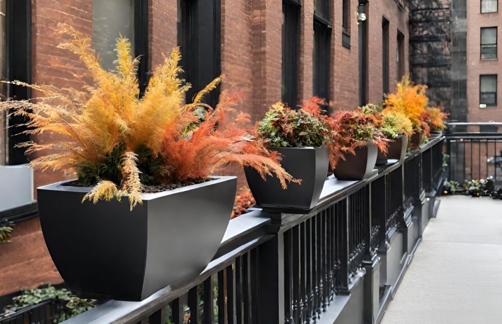 Impressing Your Thanksgiving Guests