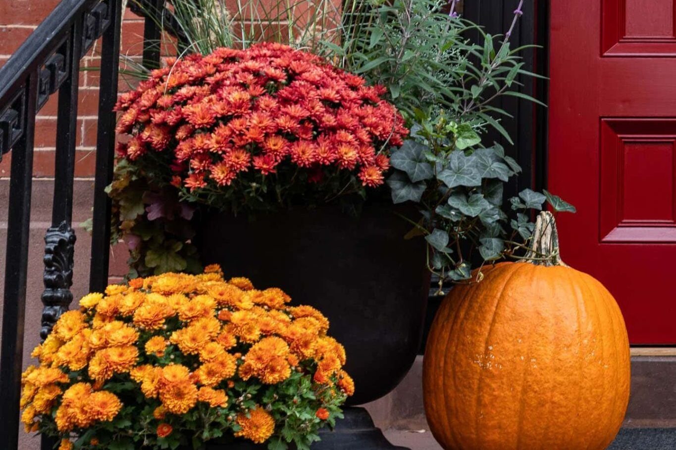 Fall Vegetable Gardening in NYC