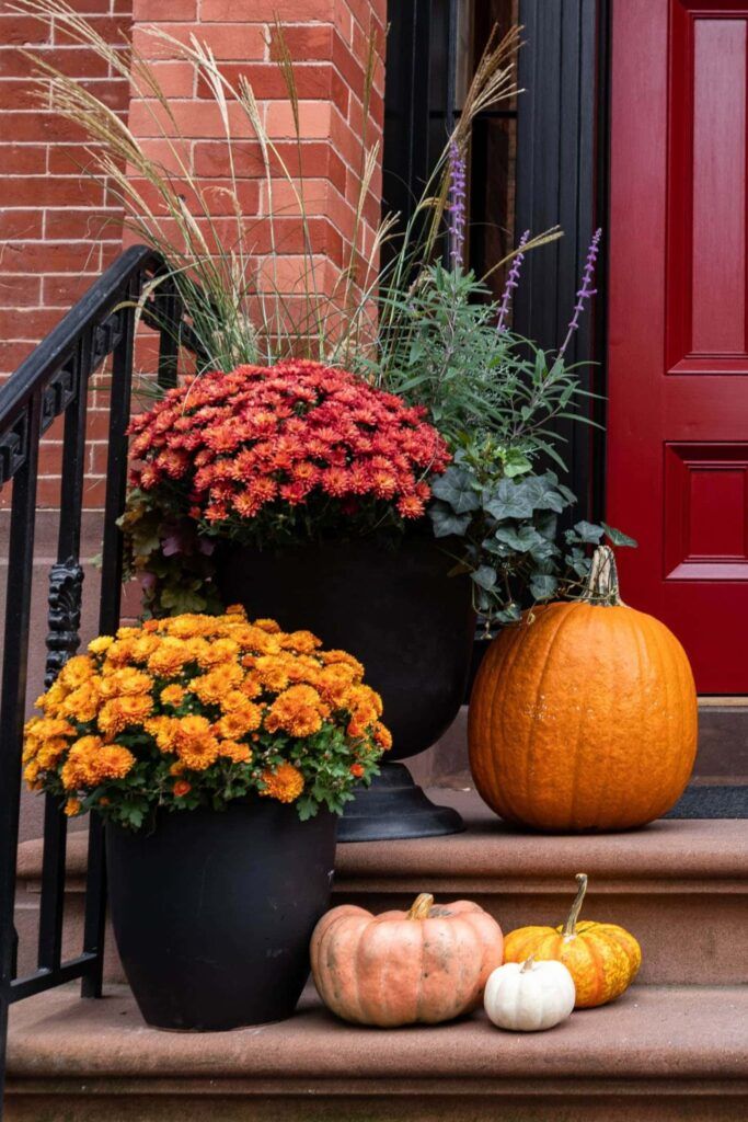Fall Vegetable Gardening in NYC