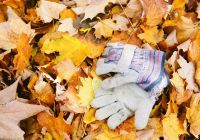 Planter Resource Guide to Late Fall Gardening