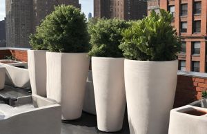 At Planter Resource of New York, we are here to guide you through your journey in the realm of white terracotta.
