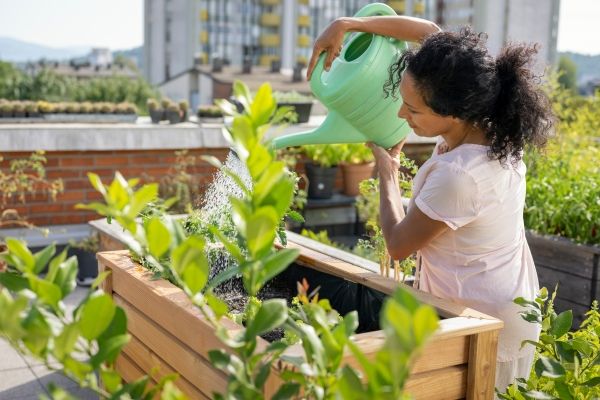 woman watering rooftop vegetable garden
