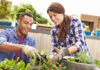 couple planting rooftop vegetable garden