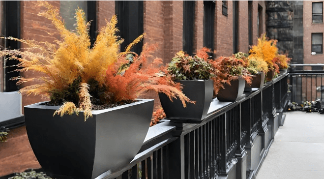 colorful plants in commercial fiberglass planters