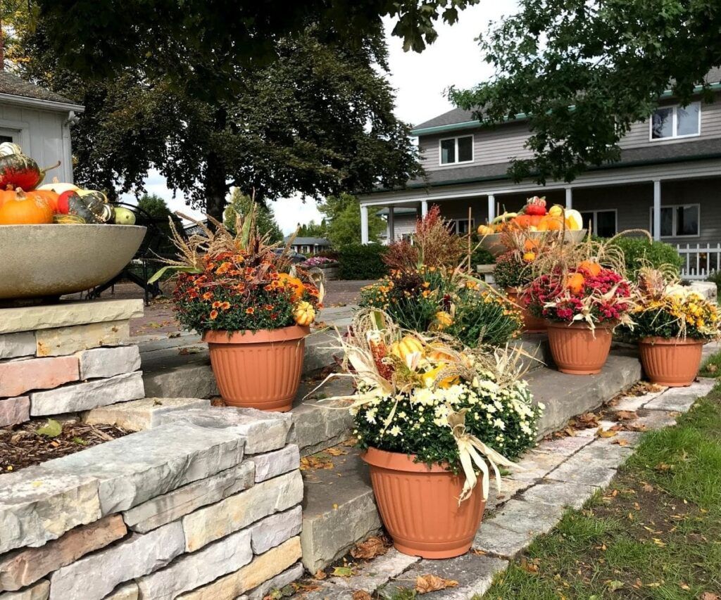 autumn planters