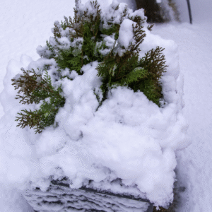fiberglass planter in snow