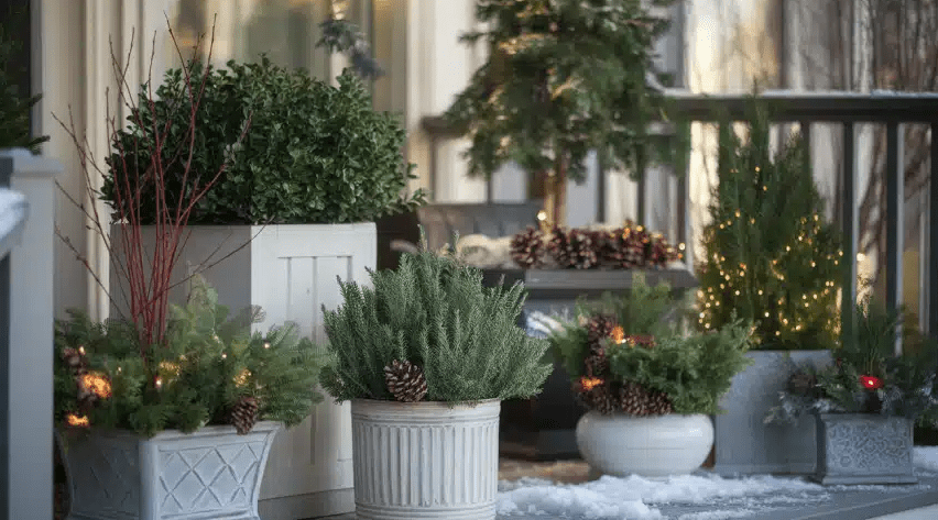 holiday planters