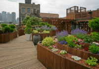 eco-friendly planters