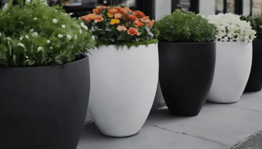 planters