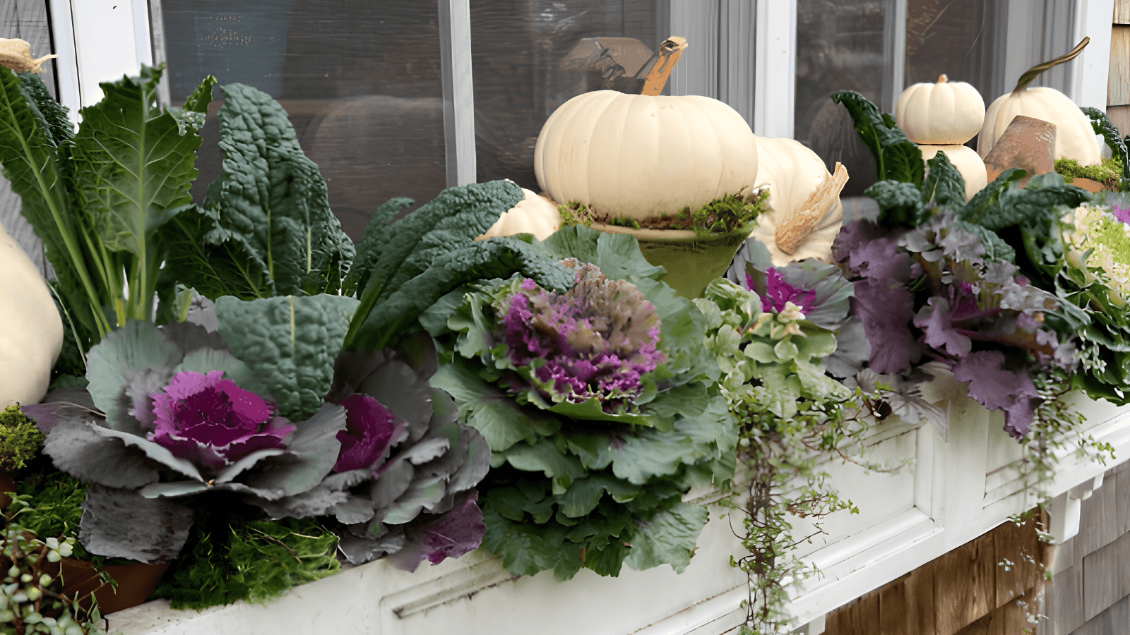 Transform Your Fall Curb Appeal with Stylish Outdoor Planters