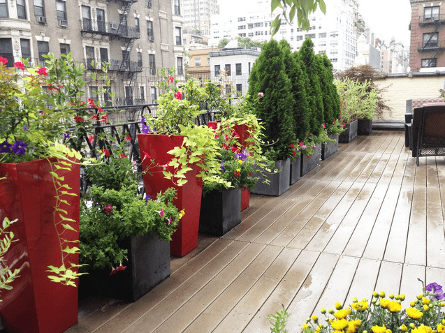 Seasonal Plant Swaps That Keep NYC Interiors Looking Fresh Year-Round