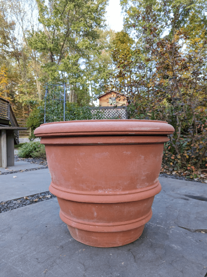 terracotta planter