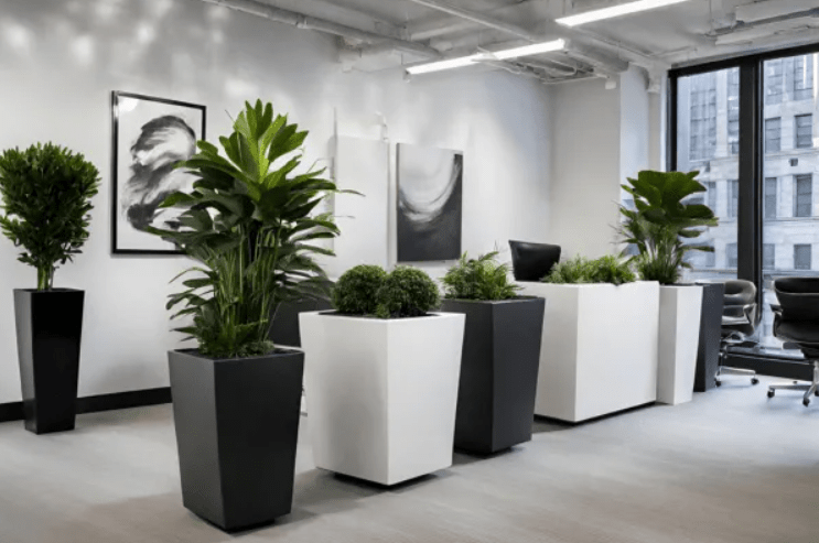 Planter Drainage Basics for Indoor Spaces and Commercial Interiors