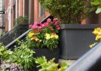 New York City townhouse building, Brooklyn Heights residential district, USA. Brownstone urban architecture, attached house. United States real estate, american property, apartments and homes in NYC.