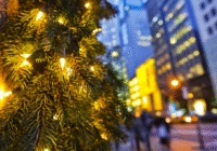 holiday planters for storefronts in NYC