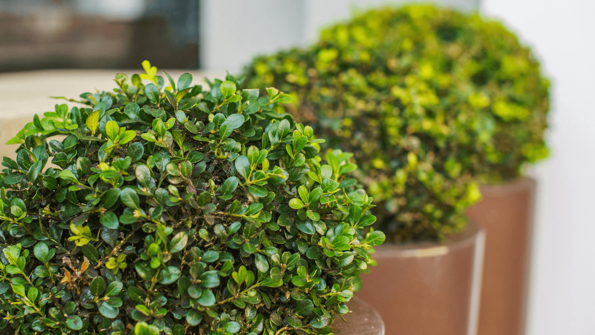 NYC Streetscape Design Trends