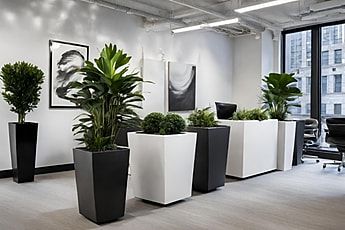 fiberglass-planters-nyc