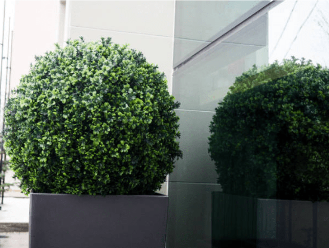 Bulk Fiberglass Planters NYC
