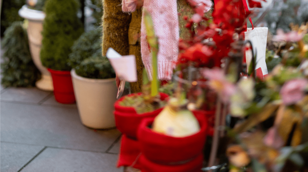 holiday planters for storefronts in NYC