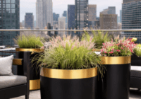 black and gold planters