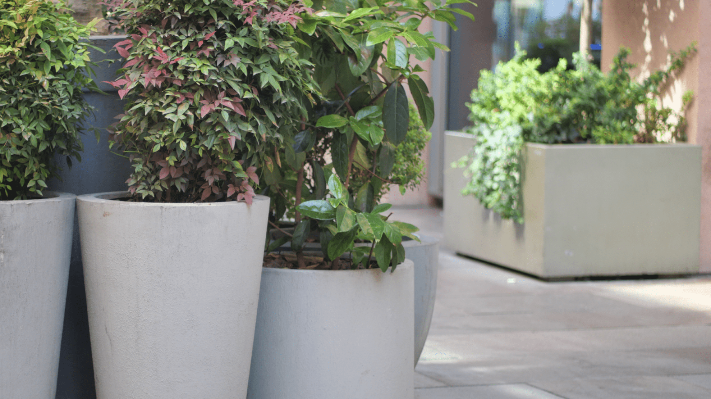 Spring Planter Planning Guide for NYC Property & Project Managers