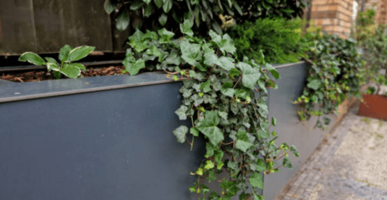 The Hidden Cost of Choosing the Wrong Planter Material 