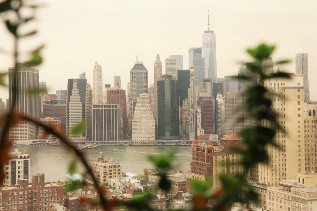 Shop Premium Planters for Your NYC Home With Same or Next-Day Delivery