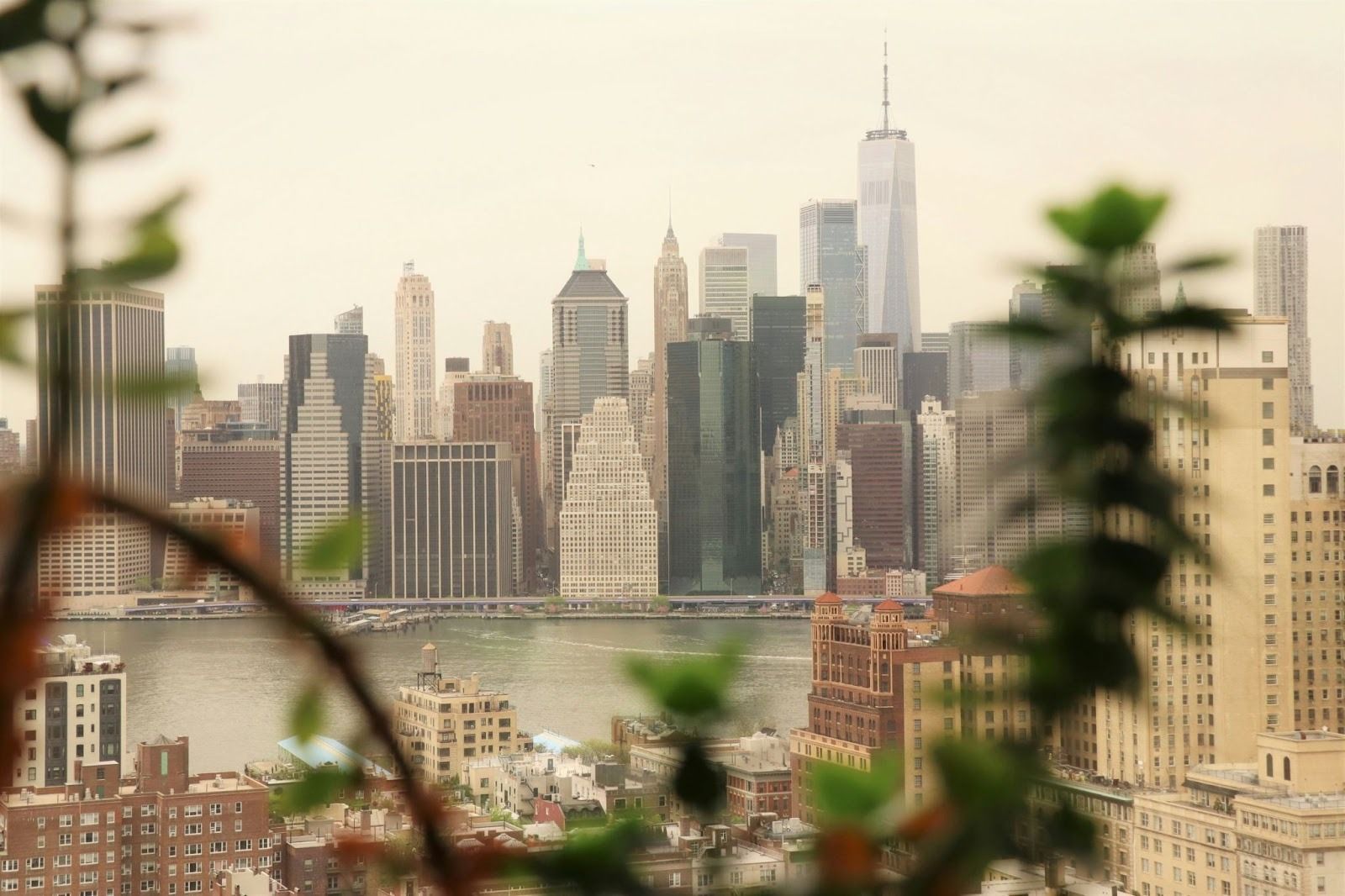 Shop Premium Planters for Your NYC Home With Same or Next-Day Delivery