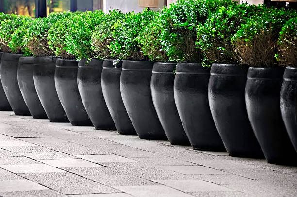 How to Refresh Your Patio with Outdoor Planters Before Labor Day