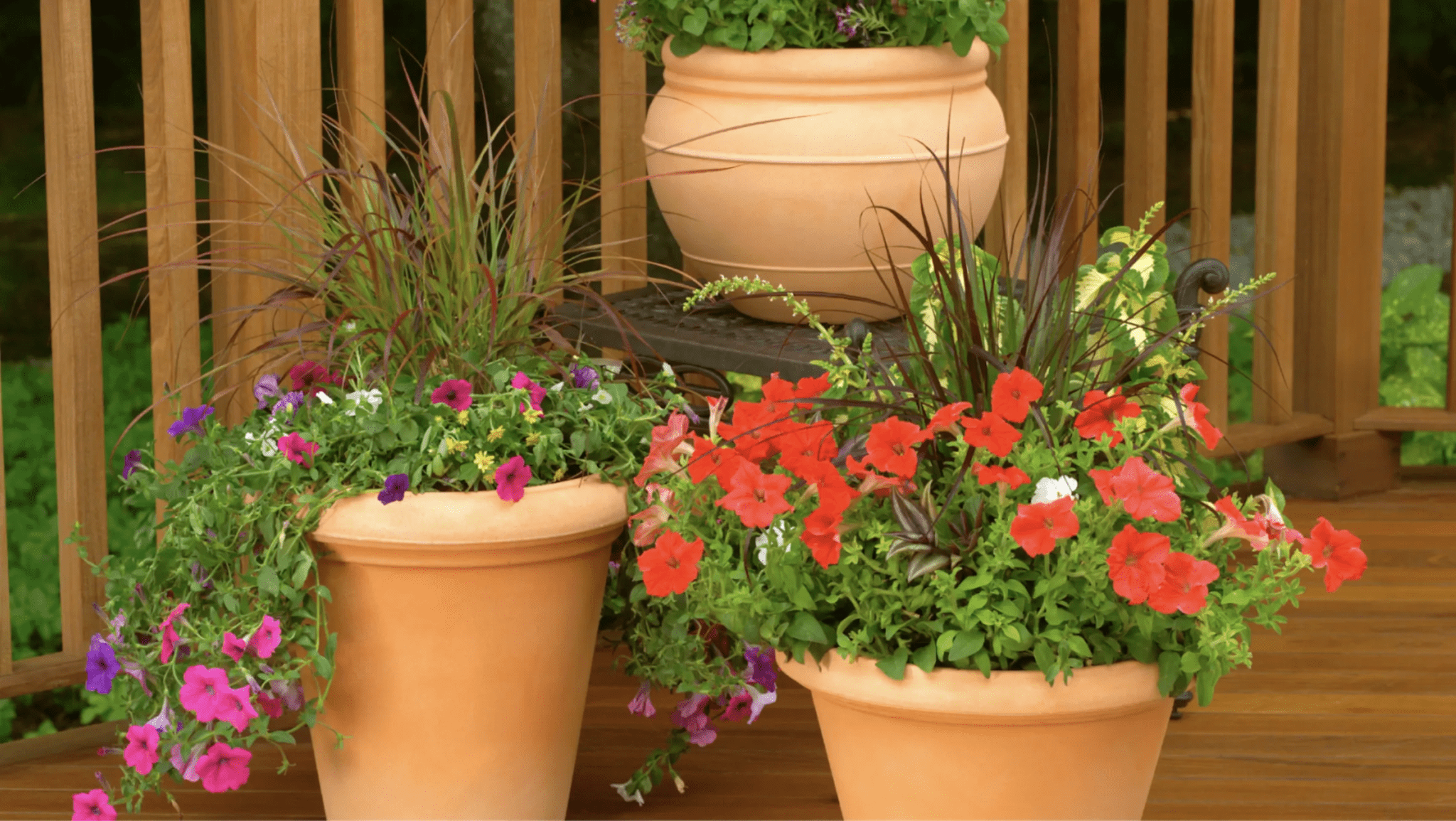 5 Designer Tricks for Making a Small NYC Patio Feel Bigger with Planters