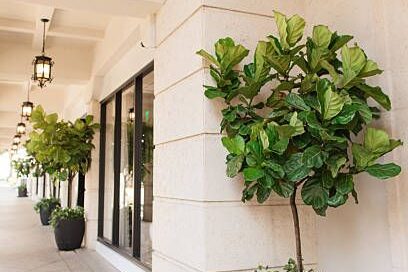 Drainage Guide for Outdoor Planters: Everything You Need to Know