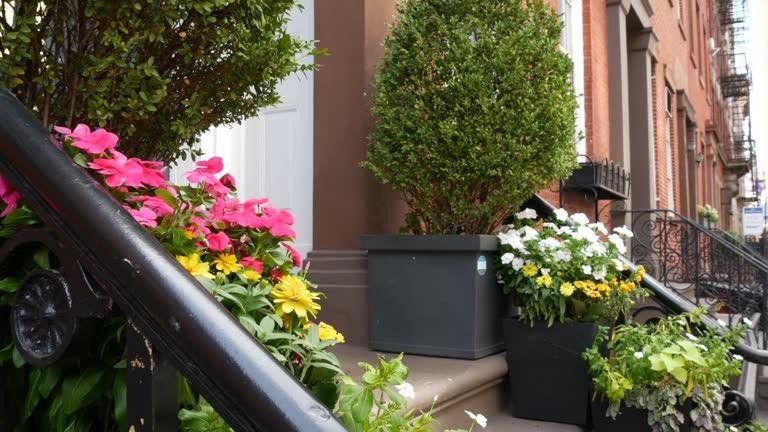 How to Arrange Multiple Planters Without Making a Small NYC Space Feel Crowded