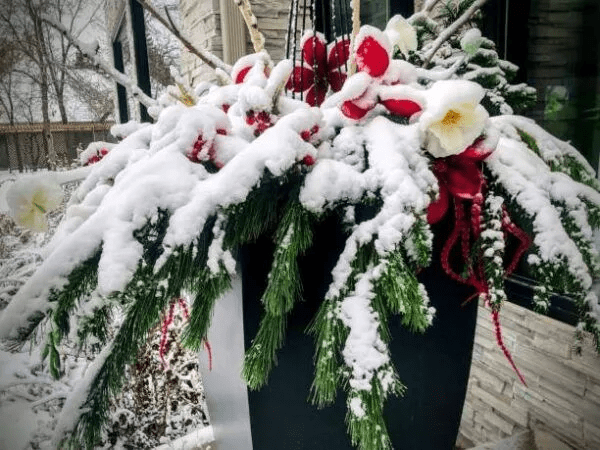 How to Prepare Your Outdoor Planters for NYC Winter