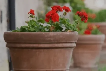 No Need to Re-Invent the Planter for Your Architecture